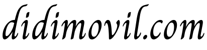 didimovil.com